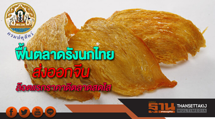 ฟื้นตลาดรังนกไทยส่งออกไปจีนล๊อตแรกราคาดีตลาดสดใส ฟื้นตลาดรังนกไทยส่งออกไปจีนล๊อตแรกราคาดีตลาดสดใส
