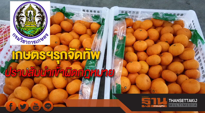 เกษตรฯ รุกจัดทัพปราบส้มนำเข้าผิดกฎหมาย เกษตรฯ รุกจัดทัพปราบส้มนำเข้าผิดกฎหมาย