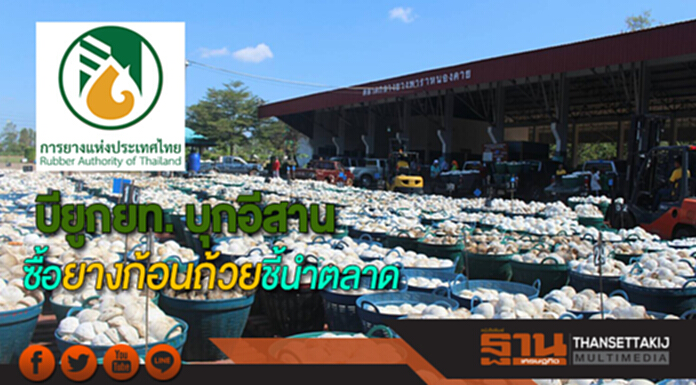 บียูกยท. บุกพื้นที่ภาคอีสาน ซื้อยางก้อนถ้วย ชี้นำตลาด บียูกยท. บุกพื้นที่ภาคอีสาน ซื้อยางก้อนถ้วย ชี้นำตลาด
