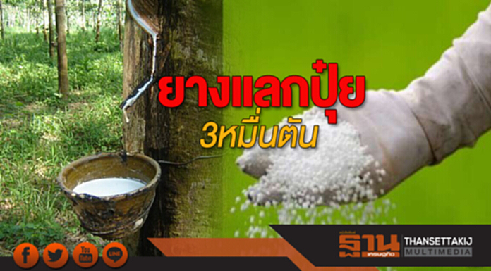 ยางแลกปุ๋ย 3 หมื่นตัน ยางแลกปุ๋ย 3 หมื่นตัน