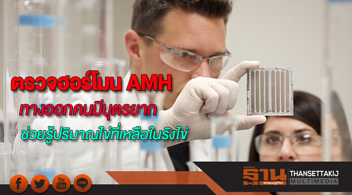 ตรวจฮอร์โมน AMHทางออกคนมีบุตรยากช่วยผู้หญิงรู้ปริมาณไข่ที่เหลือในรังไข่ ตรวจฮอร์โมน AMHทางออกคนมีบุตรยากช่วยผู้หญิงรู้ปริมาณไข่ที่เหลือในรังไข่