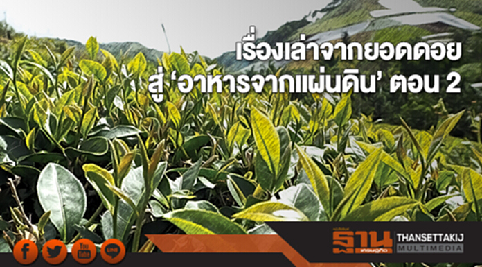 เรื่องเล่าจากยอดดอย ... สู่ ‘อาหารจากแผ่นดิน’ ตอน 2 เรื่องเล่าจากยอดดอย ... สู่ ‘อาหารจากแผ่นดิน’ ตอน 2