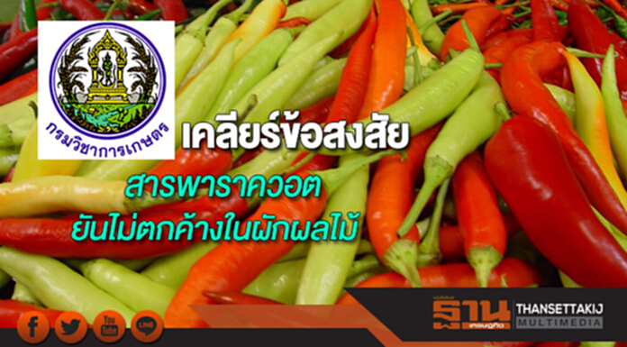 เกษตรฯจัดชุดใหญ่เคลียร์ทุกข้อสงสัยสารพาราควอตยันไม่ตกค้างในผักผลไม้ เกษตรฯจัดชุดใหญ่เคลียร์ทุกข้อสงสัยสารพาราควอตยันไม่ตกค้างในผักผลไม้