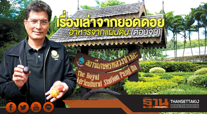 เรื่องเล่าจากยอดดอย ... อาหารจากแผ่นดิน (ตอนจบ) เรื่องเล่าจากยอดดอย ... อาหารจากแผ่นดิน (ตอนจบ)
