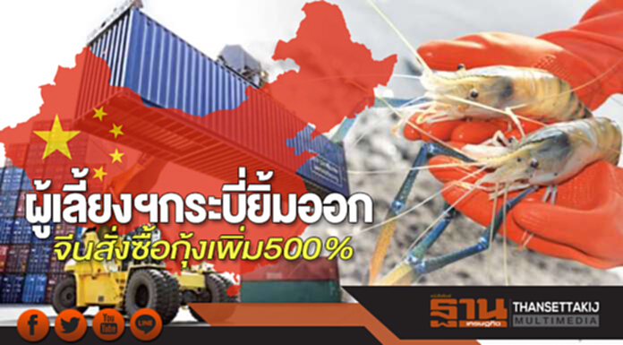 ผู้เลี้ยงฯกระบี่ยิ้มออก จีนสั่งซื้อกุ้งเพิ่ม500% ผู้เลี้ยงฯกระบี่ยิ้มออก จีนสั่งซื้อกุ้งเพิ่ม500%