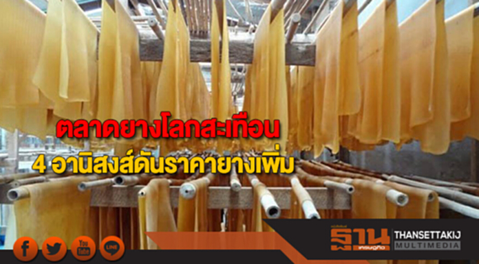 ตลาดยางโลกสะเทือน 4 อานิสงส์ดันราคายางเพิ่ม ตลาดยางโลกสะเทือน 4 อานิสงส์ดันราคายางเพิ่ม