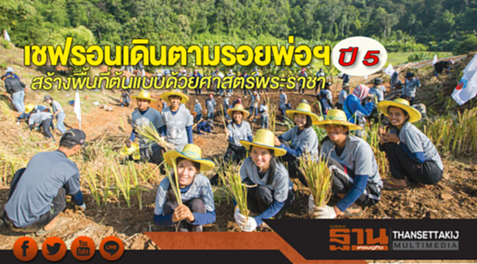 เชฟรอนเดินตามรอยพ่อฯ ปี 5 สร้างพื้นที่ต้นแบบด้วยศาสตร์พระราชา เชฟรอนเดินตามรอยพ่อฯ ปี 5 สร้างพื้นที่ต้นแบบด้วยศาสตร์พระราชา