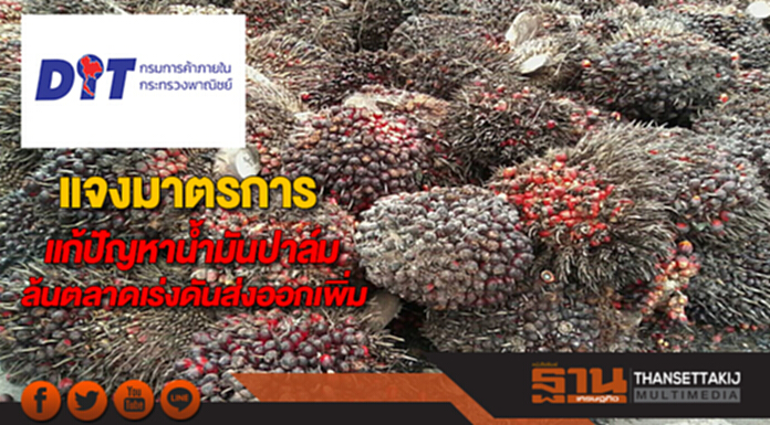 พาณิชย์แจงมาตรการแก้ปัญหาน้ำมันปาล์มล้นตลาดเร่งดันส่งออกเพิ่ม พาณิชย์แจงมาตรการแก้ปัญหาน้ำมันปาล์มล้นตลาดเร่งดันส่งออกเพิ่ม