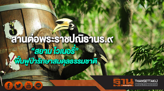 “สยาม ไวเนอรี่”สานต่อพระราชปณิธานร.๙ฟื้นฟูป่ารักษาสมดุลธรรมชาติ “สยาม ไวเนอรี่”สานต่อพระราชปณิธานร.๙ฟื้นฟูป่ารักษาสมดุลธรรมชาติ