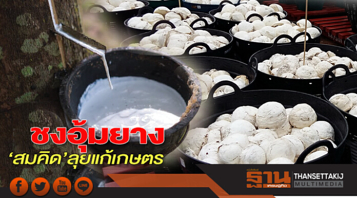ชงอุ้มยาง‘สมคิด’ลุยแก้เกษตร ชงอุ้มยาง‘สมคิด’ลุยแก้เกษตร