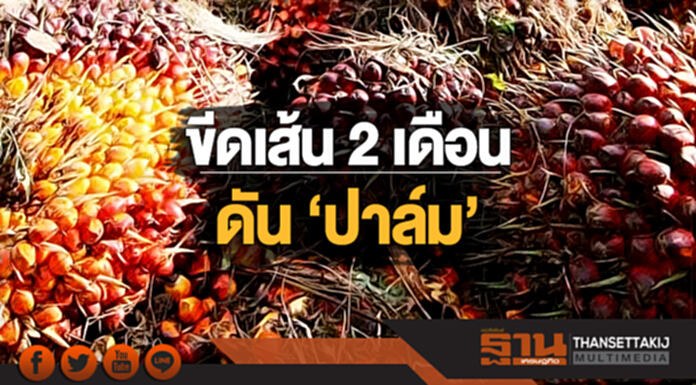 ขีดเส้น 2 เดือน ดัน ‘ปาล์ม’ ... ดึง 60 โรงสกัดน้ำมันเร่งส่งออก-บีบผู้ผลิตไบโอฯ สต๊อกเพิ่ม ขีดเส้น 2 เดือน ดัน ‘ปาล์ม’ ... ดึง 60 โรงสกัดน้ำมันเร่งส่งออก-บีบผู้ผลิตไบโอฯ สต๊อกเพิ่ม