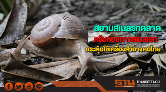 สยามสเนลรุกตลาดครีมหอยทากสเนลเอทกระตุ้นใช้เครื่องสำอางคนไทย สยามสเนลรุกตลาดครีมหอยทากสเนลเอทกระตุ้นใช้เครื่องสำอางคนไทย