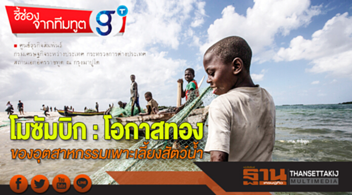 โมซัมบิก : โอกาสทองของอุตสาหกรรมเพาะเลี้ยงสัตว์นํ้า โมซัมบิก : โอกาสทองของอุตสาหกรรมเพาะเลี้ยงสัตว์นํ้า