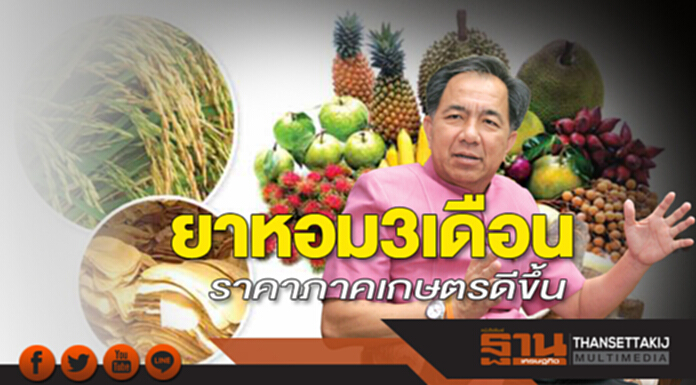 ยาหอม 3 เดือน ราคาภาคเกษตรดีขึ้น ยาหอม 3 เดือน ราคาภาคเกษตรดีขึ้น
