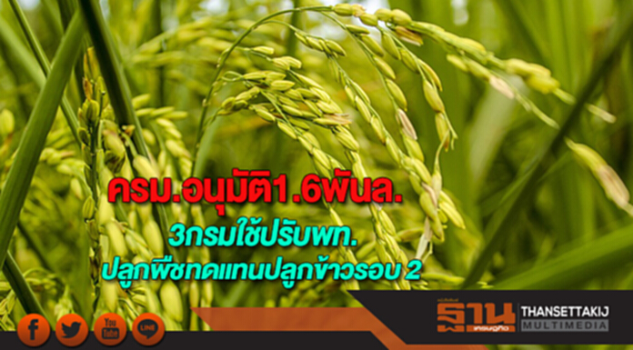 ครม.อนุมัติงบฯ1.6 พันล.ให้ 3กรมใช้ในโครงการปรับพื้นที่ปลูกพืชทดแทนปลูกข้าวรอบ 2 ครม.อนุมัติงบฯ1.6 พันล.ให้ 3กรมใช้ในโครงการปรับพื้นที่ปลูกพืชทดแทนปลูกข้าวรอบ 2