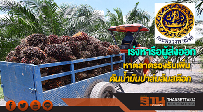 พาณิชย์เร่งหารือผู้ส่งออกผลักดันน้ำมันปาล์มที่ล้นสต็อกทั้งหาตลาดรองรับเพิ่ม พาณิชย์เร่งหารือผู้ส่งออกผลักดันน้ำมันปาล์มที่ล้นสต็อกทั้งหาตลาดรองรับเพิ่ม
