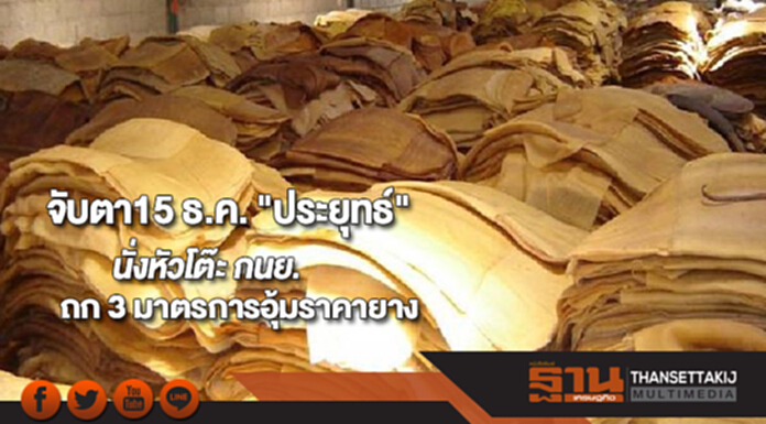 จับตา15 ธ.ค. "ประยุทธ์" นั่งหัวโต๊ะ กนย. ถก 3 มาตรการอุ้มราคายาง จับตา15 ธ.ค. "ประยุทธ์" นั่งหัวโต๊ะ กนย. ถก 3 มาตรการอุ้มราคายาง
