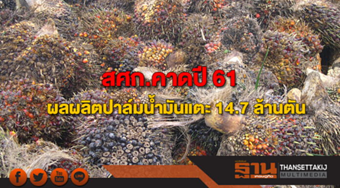สศก.คาดปี 61 ผลผลิตปาล์มน้ำมันเพิ่ม แตะเพดาน 14.7 ล้านตัน สศก.คาดปี 61 ผลผลิตปาล์มน้ำมันเพิ่ม แตะเพดาน 14.7 ล้านตัน