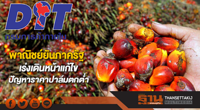 พาณิชย์ยันภาครัฐเร่งเดินหน้าแก้ไขปัญหาราคาปาล์มตกต่ำ พาณิชย์ยันภาครัฐเร่งเดินหน้าแก้ไขปัญหาราคาปาล์มตกต่ำ