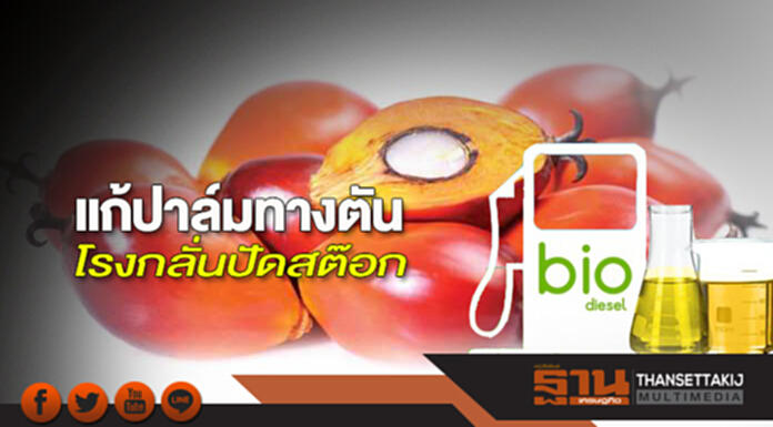 แก้ปาล์มทางตัน โรงกลั่นปัดสต๊อก แก้ปาล์มทางตัน โรงกลั่นปัดสต๊อก