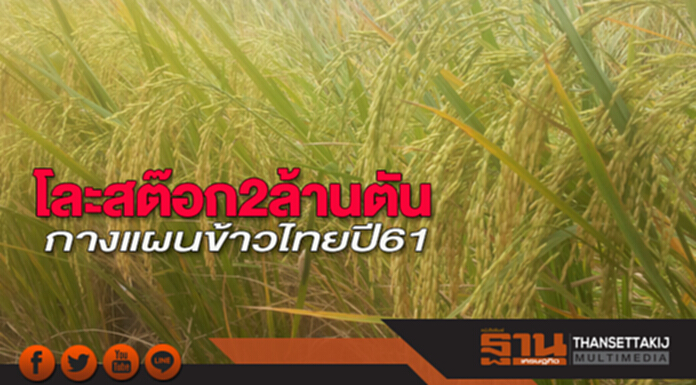 โละสต๊อก 2 ล้านตัน กางแผนข้าวไทยปี 61 โละสต๊อก 2 ล้านตัน กางแผนข้าวไทยปี 61