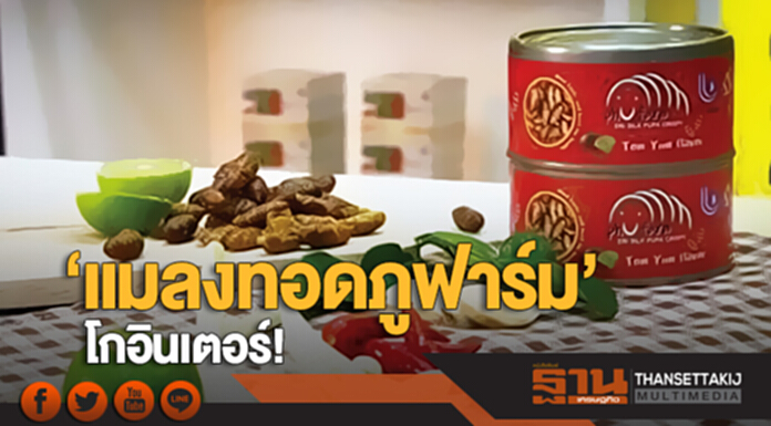 ‘แมลงทอดภูฟาร์ม’ โกอินเตอร์! ขยายตลาดส่งออก แตกไลน์ผลิตน้ำเพื่อสุขภาพ ‘แมลงทอดภูฟาร์ม’ โกอินเตอร์! ขยายตลาดส่งออก แตกไลน์ผลิตน้ำเพื่อสุขภาพ