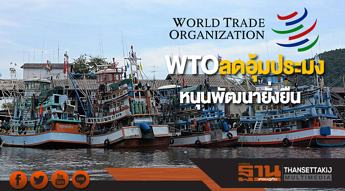 WTOลดหนุนประมง หนุนพัฒนายั่งยืน WTOลดหนุนประมง หนุนพัฒนายั่งยืน