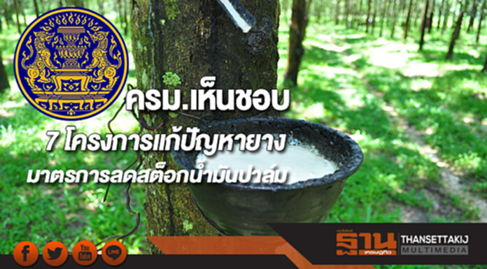 ครม.เห็นชอบ7 โครงการแก้ปัญหายางมาตรการลดสต็อกน้ำมันปาล์ม ครม.เห็นชอบ7 โครงการแก้ปัญหายางมาตรการลดสต็อกน้ำมันปาล์ม