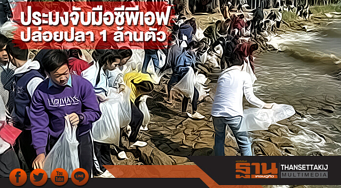 ประมงจับมือซีพีเอฟปล่อยปลา 1 ล้านตัว ประมงจับมือซีพีเอฟปล่อยปลา 1 ล้านตัว