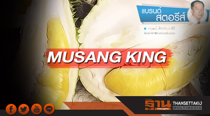 MUSANG KING MUSANG KING