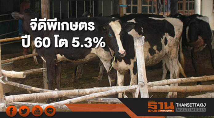 สศก.เผยจีดีพีเกษตรปี 60 โต 5.3% ทุกสาขาขยายตัว สศก.เผยจีดีพีเกษตรปี 60 โต 5.3% ทุกสาขาขยายตัว