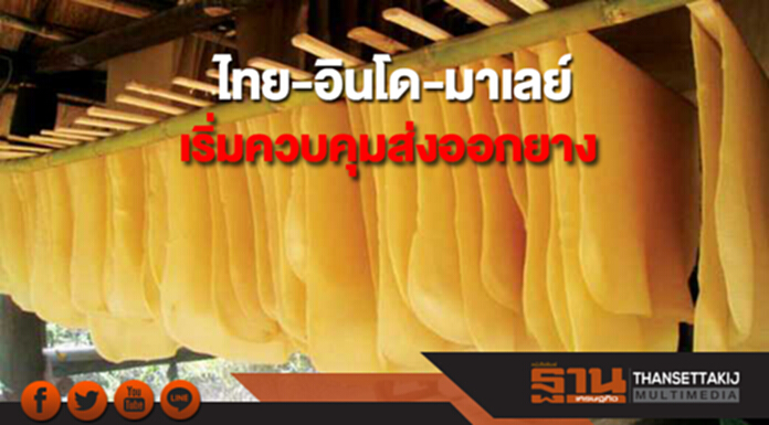ไทย-อินโด-มาเลย์ ลั่นพร้อมเริ่มควบคุมส่งออกยางครั้งที่ 5 ไทย-อินโด-มาเลย์ ลั่นพร้อมเริ่มควบคุมส่งออกยางครั้งที่ 5
