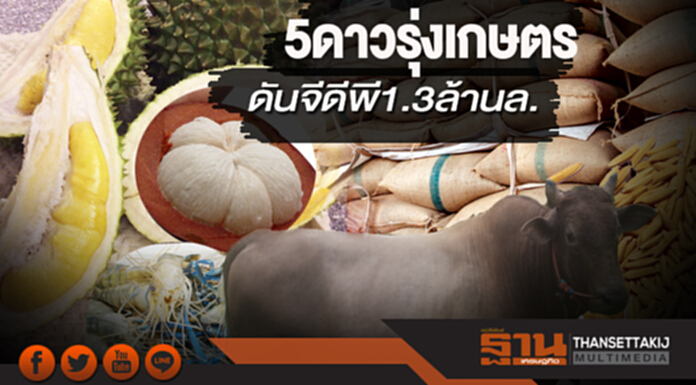 5 ดาวรุ่งเกษตร ดันจีดีพี 1.3 ล้านล. 5 ดาวรุ่งเกษตร ดันจีดีพี 1.3 ล้านล.