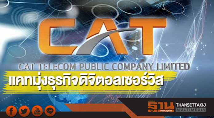 แคทมุ่งธุรกิจดิจิตอลเซอร์วิส แคทมุ่งธุรกิจดิจิตอลเซอร์วิส