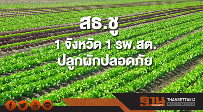 สธ.ชู “1 จังหวัด 1 รพ.สต.ปลูกผักปลอดภัย” ช่วยผู้มีรายได้น้อย สธ.ชู “1 จังหวัด 1 รพ.สต.ปลูกผักปลอดภัย” ช่วยผู้มีรายได้น้อย