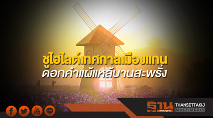 ชูไฮไลต์เทศกาลเมืองแกน ดอกคำแผ้แหล้บานสะพรั่ง ชูไฮไลต์เทศกาลเมืองแกน ดอกคำแผ้แหล้บานสะพรั่ง