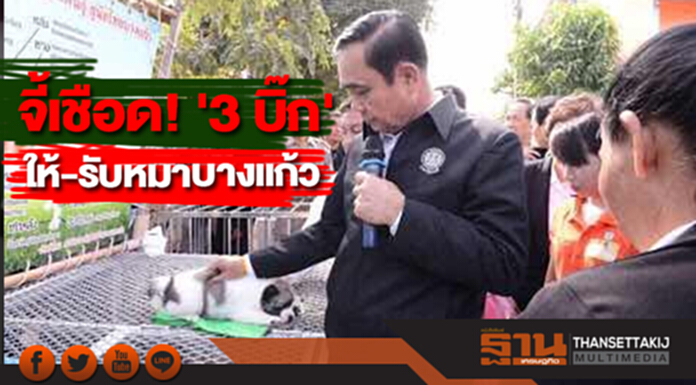 งานเข้ารับปีจอ จี้เชือด! 'บิ๊กตู่- บิ๊กป๊อก- บิ๊กฉัตร' ให้-รับของขวัญหมาบางแก้วราคาเกิน 3 พัน งานเข้ารับปีจอ จี้เชือด! 'บิ๊กตู่- บิ๊กป๊อก- บิ๊กฉัตร' ให้-รับของขวัญหมาบางแก้วราคาเกิน 3 พัน