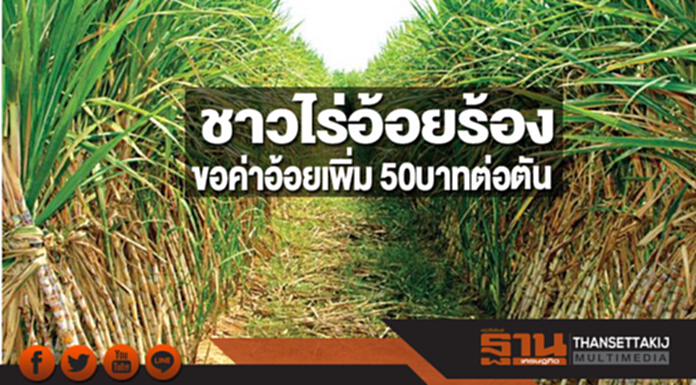 ชาวไร่เรียกร้องขอค่าอ้อยเพิ่ม ลั่นต้อง50บาทต่อตัน-ขายปลีกน้ำตาลยังใช้ราคาควบคุม ชาวไร่เรียกร้องขอค่าอ้อยเพิ่ม ลั่นต้อง50บาทต่อตัน-ขายปลีกน้ำตาลยังใช้ราคาควบคุม