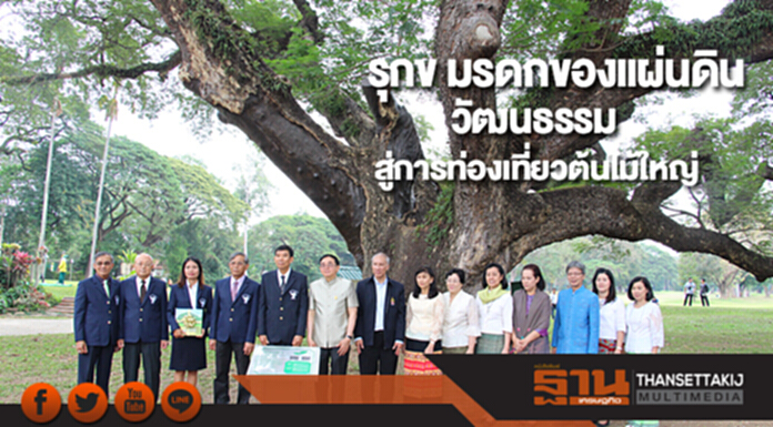 รุกข มรดกของแผ่นดินวัฒนธรรมสู่การท่องเที่ยวต้นไม้ใหญ่ รุกข มรดกของแผ่นดินวัฒนธรรมสู่การท่องเที่ยวต้นไม้ใหญ่