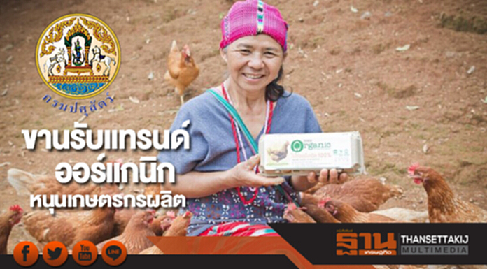 กรมปศุสัตว์ขานรับแทรนด์ออร์แกนิกหนุนเกษตรกรผลิต กรมปศุสัตว์ขานรับแทรนด์ออร์แกนิกหนุนเกษตรกรผลิต