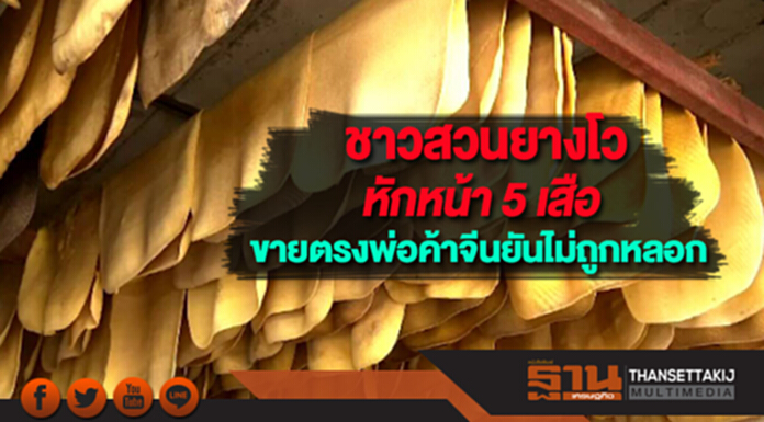 ชาวสวนยางโวหักหน้า 5 เสือขายตรงพ่อค้าจีนยันไม่ถูกหลอก ชาวสวนยางโวหักหน้า 5 เสือขายตรงพ่อค้าจีนยันไม่ถูกหลอก