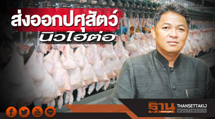 ส่งออกปศุสัตว์นิวไฮต่อ ส่งออกปศุสัตว์นิวไฮต่อ