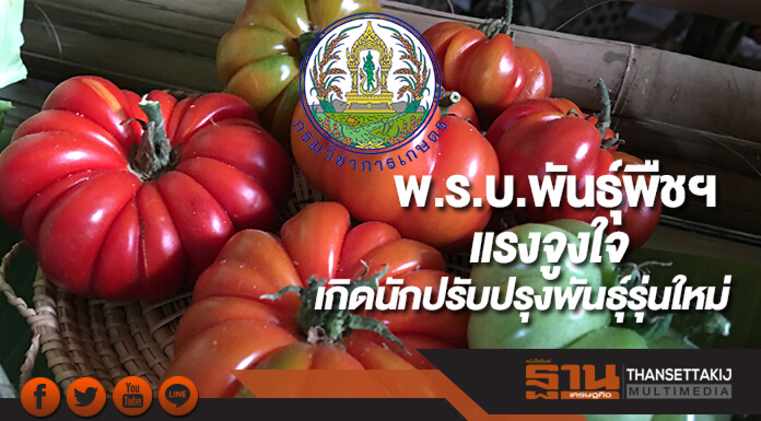 พ.ร.บ.พันธุ์พืชฯแรงจูงใจเกิดนักปรับปรุงพันธุ์รุ่นใหม่ช่วยป้องผู้แอบอ้างสิทธิ์
