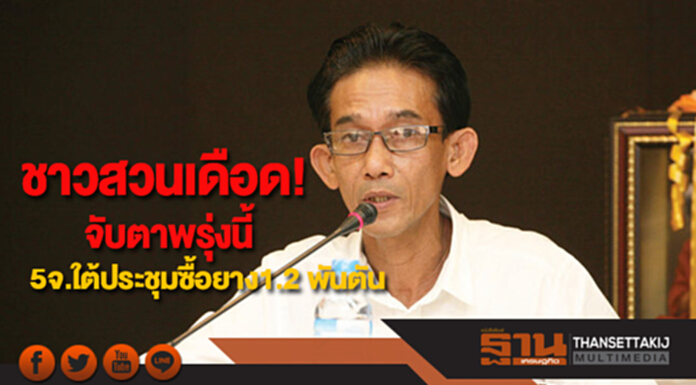 ชาวสวนเดือด! จับตาพรุ่งนี้ 5จ.ใต้ประชุมซื้อยางนำร่องในปท. 1.2 พันตัน ชาวสวนเดือด! จับตาพรุ่งนี้ 5จ.ใต้ประชุมซื้อยางนำร่องในปท. 1.2 พันตัน