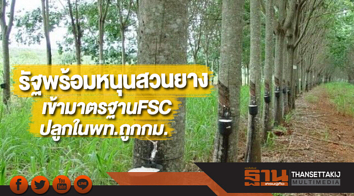 รัฐพร้อมหนุนสวนยางเข้ามาตรฐานFSCปลูกในพท.ถูกกม. รัฐพร้อมหนุนสวนยางเข้ามาตรฐานFSCปลูกในพท.ถูกกม.