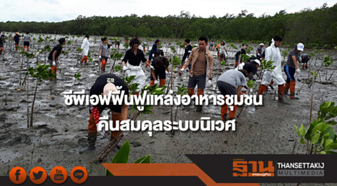 ซีพีเอฟเดินหน้าอนุรักษ์ทรัพยากรป่าไม้ของชาติ ฟื้นฟูแหล่งอาหารของชุมชน–คืนสมดุลระบบนิเวศ ซีพีเอฟเดินหน้าอนุรักษ์ทรัพยากรป่าไม้ของชาติ ฟื้นฟูแหล่งอาหารของชุมชน–คืนสมดุลระบบนิเวศ