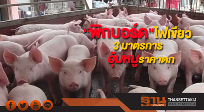 “พิกบอร์ด”ไฟเขียว3 มาตรการอุ้มหมูราคาตก “พิกบอร์ด”ไฟเขียว3 มาตรการอุ้มหมูราคาตก