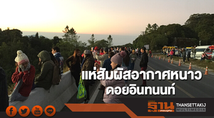 นักท่องเที่ยวแห่สัมผัสอากาศหนาวบนดอยอินทนนท์ นักท่องเที่ยวแห่สัมผัสอากาศหนาวบนดอยอินทนนท์
