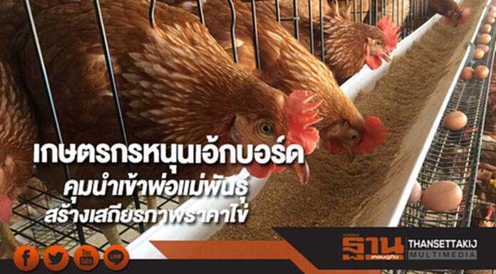 เกษตรกรหนุนเอ้กบอร์ดคุมนำเข้าพ่อแม่พันธุ์สร้างเสถียรภาพราคาไข่ เกษตรกรหนุนเอ้กบอร์ดคุมนำเข้าพ่อแม่พันธุ์สร้างเสถียรภาพราคาไข่