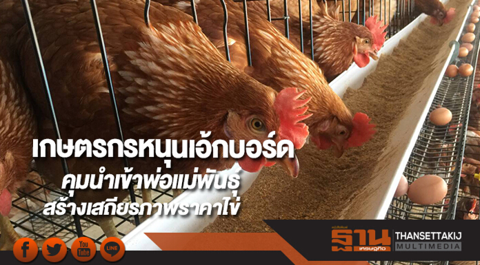 เกษตรกรหนุนเอ้กบอร์ดคุมนำเข้าพ่อแม่พันธุ์สร้างเสถียรภาพราคาไข่